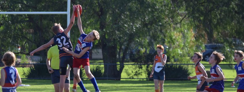Game of AFL