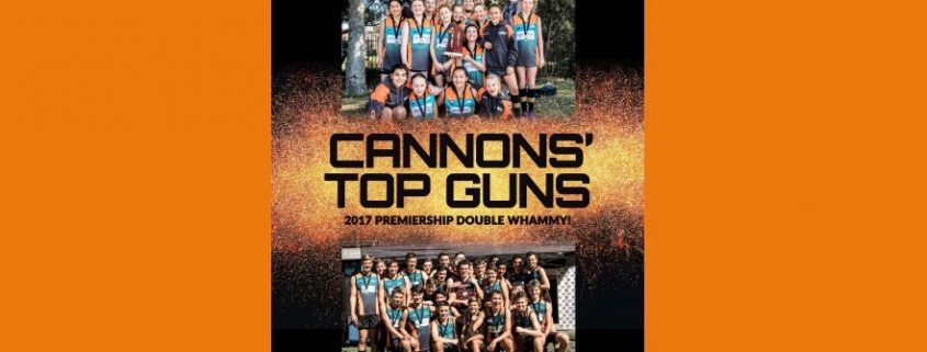 2017 Cannons yearbook cover
